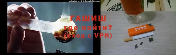 индика Алексин