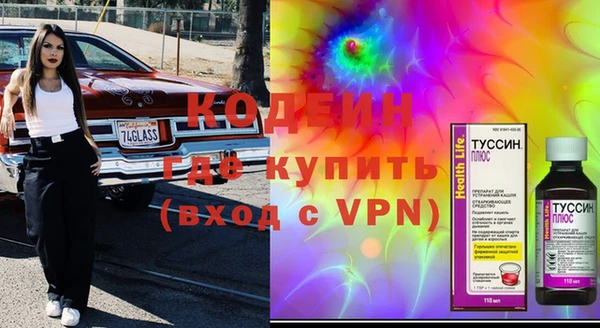 индика Алексин