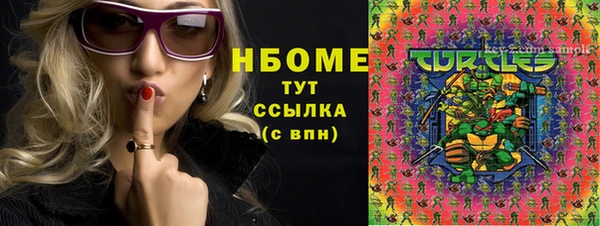 индика Алексин