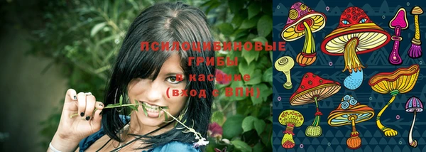 марки nbome Алзамай