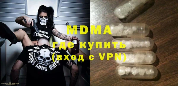 индика Алексин