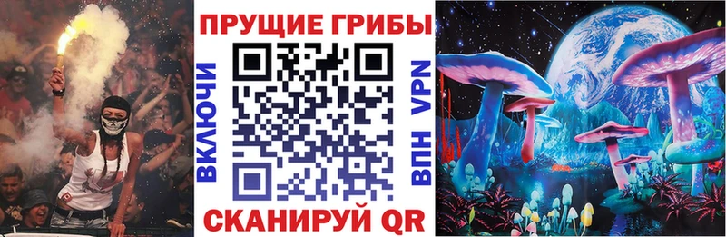 mega ссылки дарнет шоп Данилов Псилоцибиновые грибы ЛСД